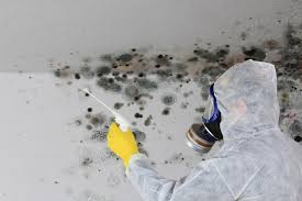 Reliable Caraway, AR Mold Removal & Remediation Solutions